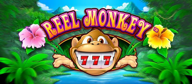 ssbet77 apk